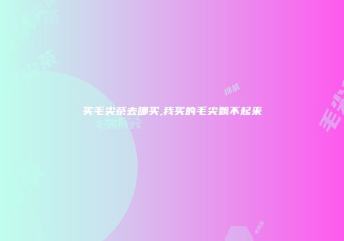 买毛尖茶去哪买,我买的毛尖飘不起来