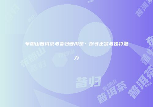 布朗山普洱茶与昔归普洱茶：探寻正宗与独特魅力