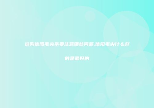 选购信阳毛尖茶要注意哪些问题,信阳毛尖什么样的是最好的