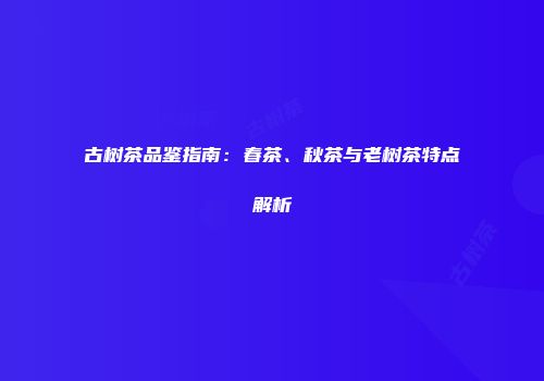 古树茶品鉴指南：春茶、秋茶与老树茶特点解析