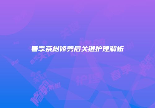 春季茶树修剪后关键护理解析