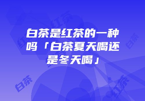 白茶是红茶的一种吗「白茶夏天喝还是冬天喝」