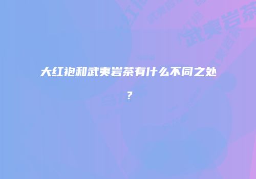 大红袍和武夷岩茶有什么不同之处？