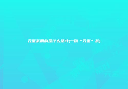 元宝茶用的是什么茶叶(一碗“元宝”茶)