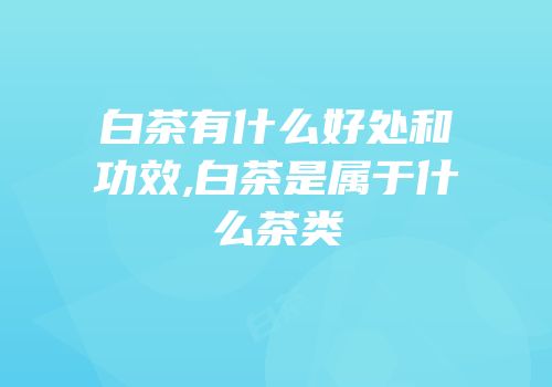 白茶有什么好处和功效,白茶是属于什么茶类