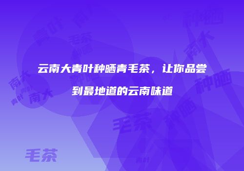 云南大青叶种晒青毛茶，让你品尝到最地道的云南味道