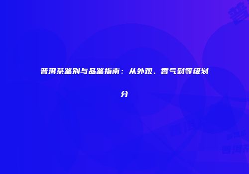 普洱茶鉴别与品鉴指南：从外观、香气到等级划分
