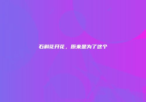 石斛花开花，原来是为了这个