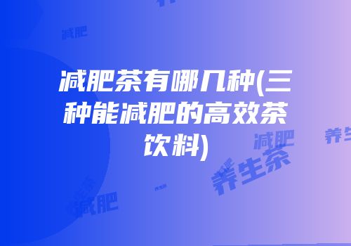 减肥茶有哪几种(三种能减肥的高效茶饮料)