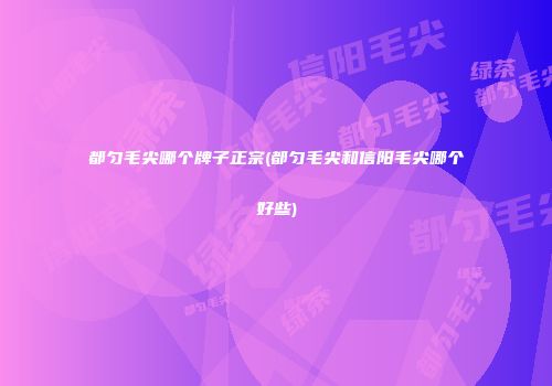 都匀毛尖哪个牌子正宗(都匀毛尖和信阳毛尖哪个好些)