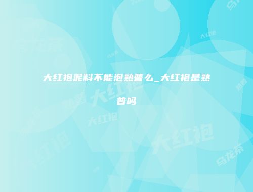 大红袍泥料不能泡熟普么_大红袍是熟普吗