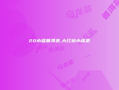 20小罐普洱茶,大红袍小罐茶