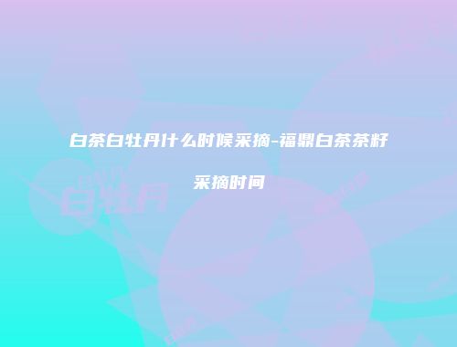 白茶白牡丹什么时候采摘-福鼎白茶茶籽采摘时间