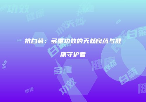 抗白菊：多重功效的天然良药与健康守护者