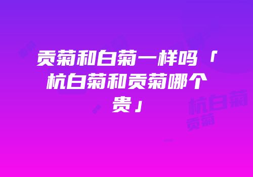 贡菊和白菊一样吗「杭白菊和贡菊哪个贵」