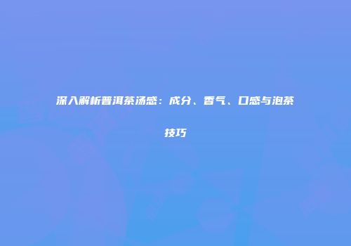 深入解析普洱茶汤感：成分、香气、口感与泡茶技巧