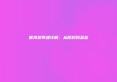 普洱茶等级详解：从原料到品鉴