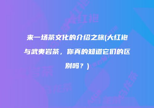 来一场茶文化的介绍之旅(大红袍与武夷岩茶，你真的知道它们的区别吗？)