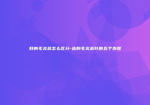 好的毛尖茶怎么区分-选购毛尖茶叶的五个步骤