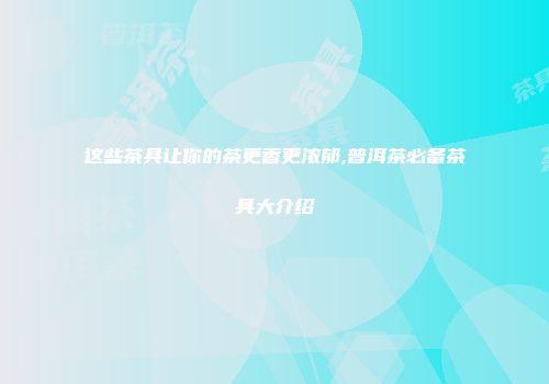 这些茶具让你的茶更香更浓郁,普洱茶必备茶具大介绍