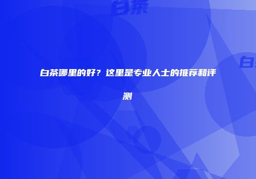 白茶哪里的好？这里是专业人士的推荐和评测
