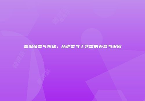 普洱茶香气揭秘：品种香与工艺香的差异与识别