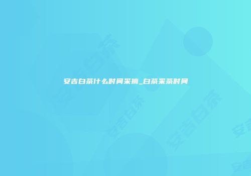 安吉白茶什么时间采摘_白茶采茶时间