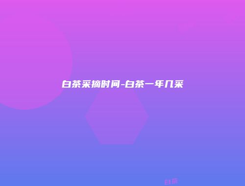 白茶采摘时间-白茶一年几采