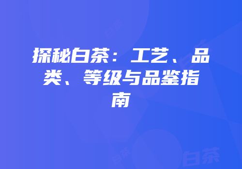 探秘白茶：工艺、品类、等级与品鉴指南