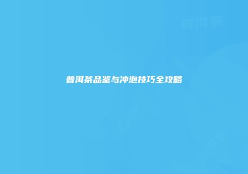 普洱茶品鉴与冲泡技巧全攻略