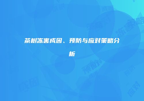 茶树冻害成因、预防与应对策略分析