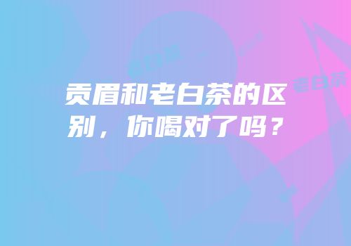 贡眉和老白茶的区别，你喝对了吗？