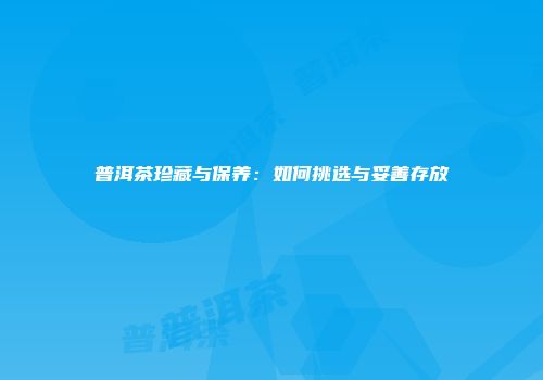 普洱茶珍藏与保养：如何挑选与妥善存放