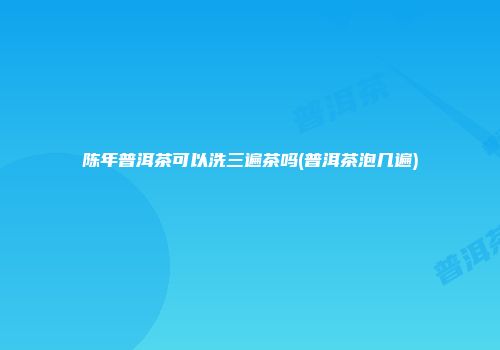 陈年普洱茶可以洗三遍茶吗(普洱茶泡几遍)