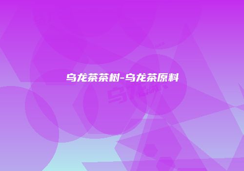 乌龙茶茶树-乌龙茶原料