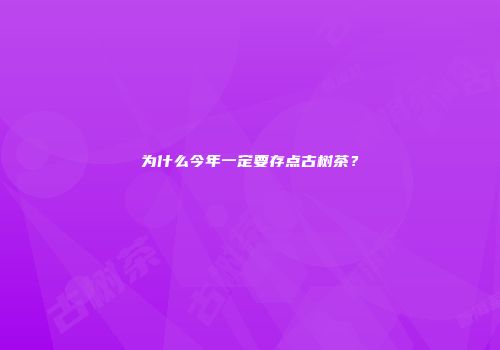 为什么今年一定要存点古树茶？