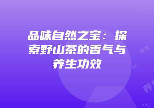 品味自然之宝：探索野山茶的香气与养生功效