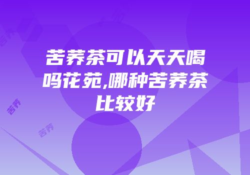 苦荞茶可以天天喝吗花苑,哪种苦荞茶比较好
