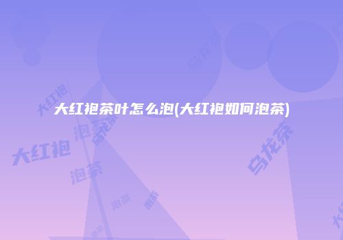 大红袍茶叶怎么泡(大红袍如何泡茶)