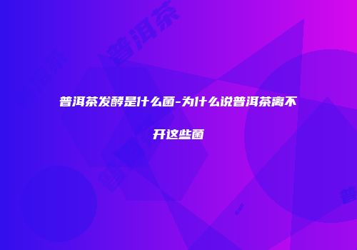 普洱茶发酵是什么菌-为什么说普洱茶离不开这些菌