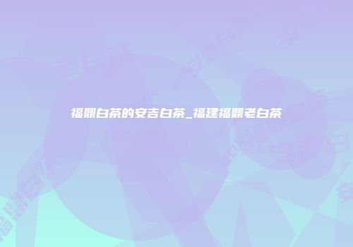 福鼎白茶的安吉白茶_福建福鼎老白茶