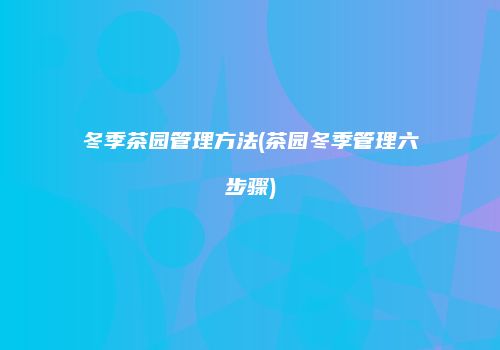 冬季茶园管理方法(茶园冬季管理六步骤)