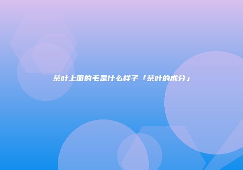 茶叶上面的毛是什么样子「茶叶的成分」