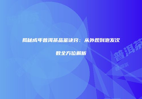 揭秘成年普洱茶品鉴诀窍：从外观到泡发次数全方位解析