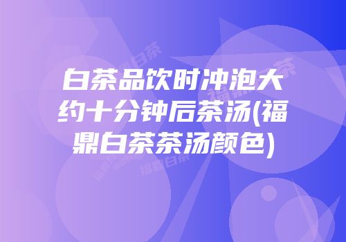 白茶品饮时冲泡大约十分钟后茶汤(福鼎白茶茶汤颜色)