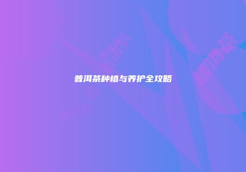 普洱茶种植与养护全攻略
