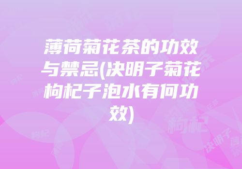 薄荷菊花茶的功效与禁忌(决明子菊花枸杞子泡水有何功效)