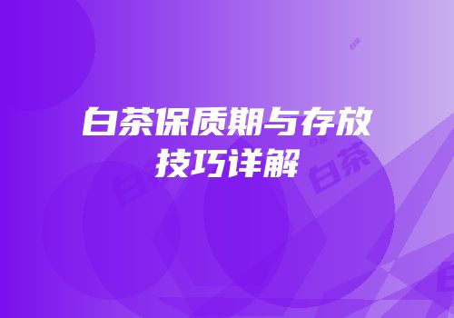 白茶保质期与存放技巧详解