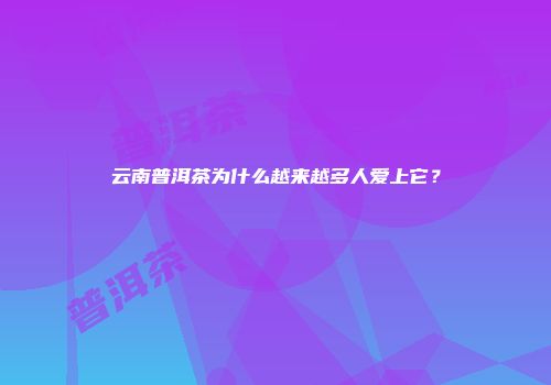 云南普洱茶为什么越来越多人爱上它？