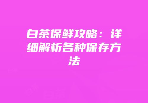 白茶保鲜攻略：详细解析各种保存方法